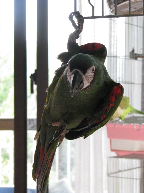 d0081210_23454897.jpg