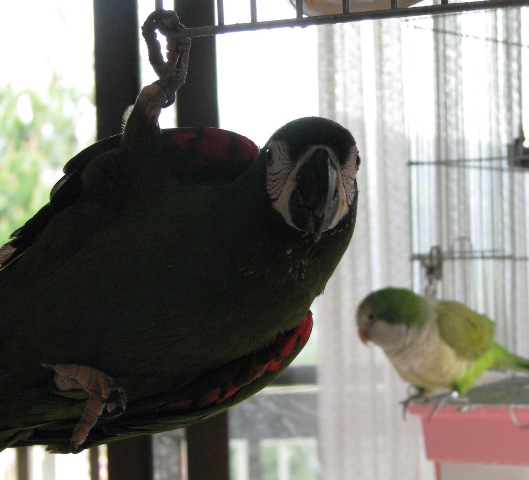 d0081210_23474839.jpg