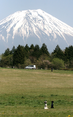 JFA 静岡朝霧大会_f0108112_2145764.jpg