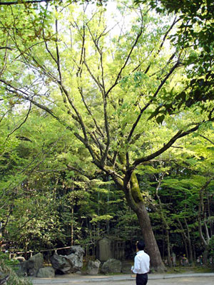b0171414_13304660.jpg