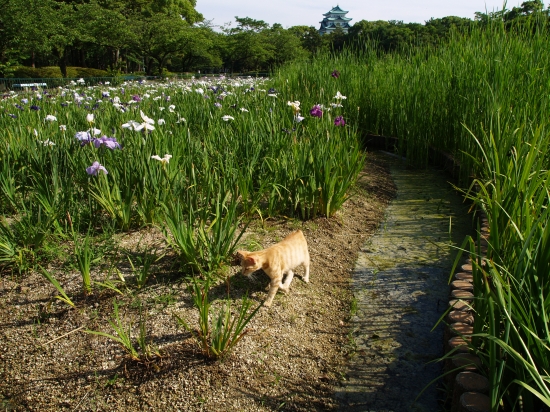 c0136217_055447.jpg