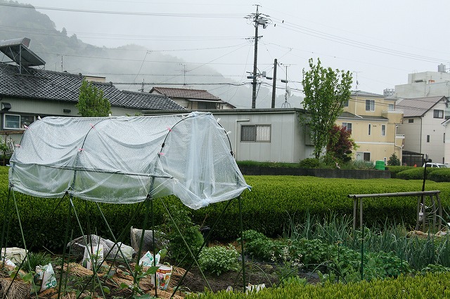 a0087818_16323670.jpg