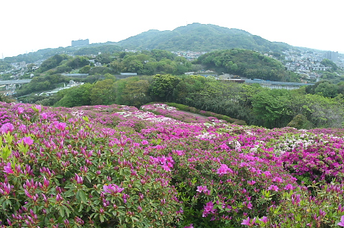b0042220_13502427.jpg