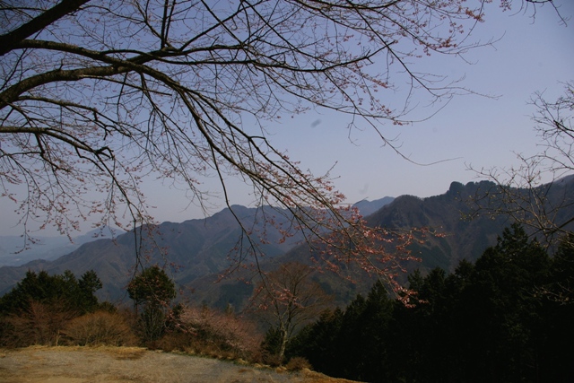 c0107924_1125466.jpg