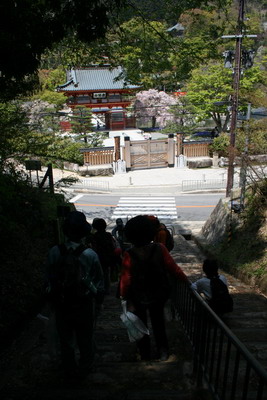 2009.4.19　第1コース　勝尾寺参道_f0009128_2313162.jpg