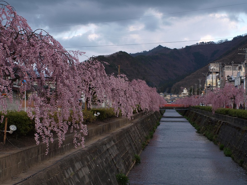 2009_04_17天童倉津川_e0157538_15415892.jpg