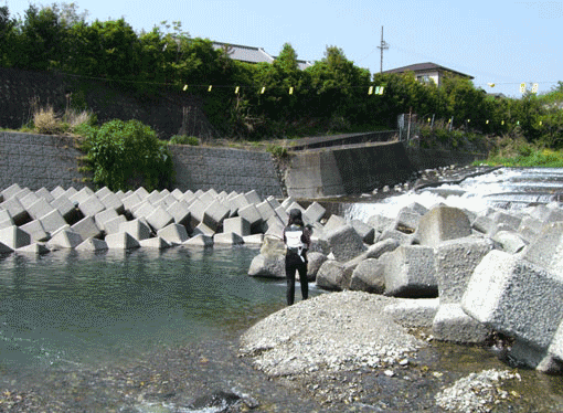 a0056140_012518.gif