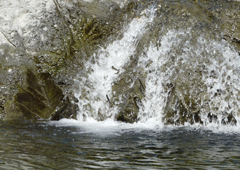 a0056140_014172.gif
