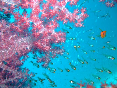 b0167345_0404621.jpg