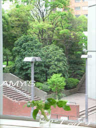 c0176651_1735377.gif