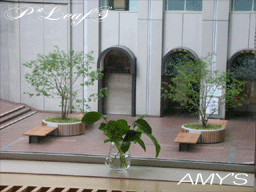 c0176651_1735553.gif