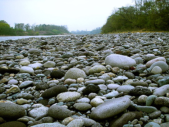 　４月２１日　　本流の別天地。_f0084561_1282728.jpg