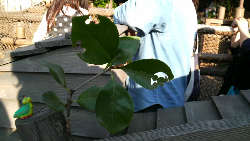 c0170964_10544029.jpg