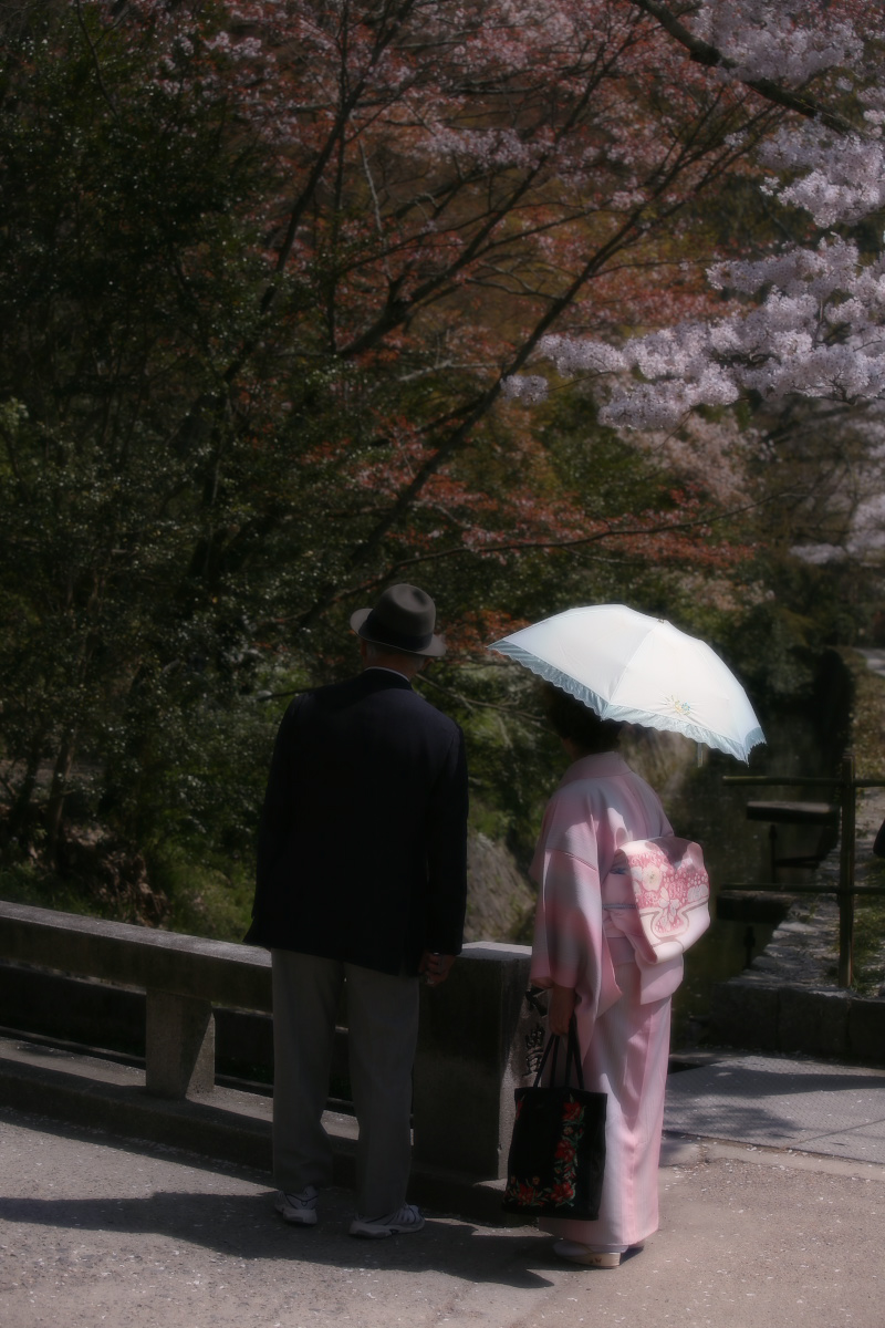 東山界隈　桜_f0021869_22571040.jpg