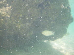 b0056570_18034.jpg