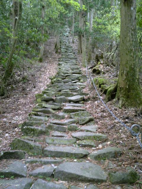 大分中津・求菩提山\パワースポットをちょっと信じて終了_b0116271_14312182.jpg