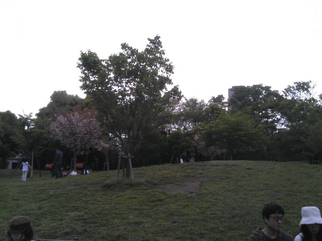 e0161872_021320.jpg