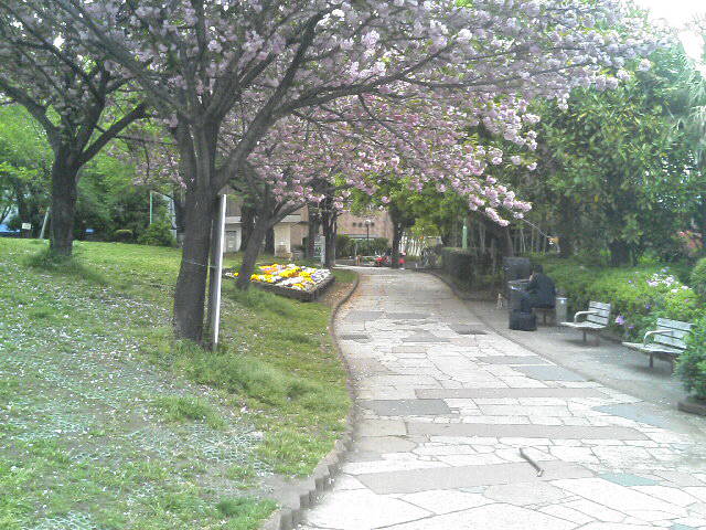 e0161872_021345.jpg
