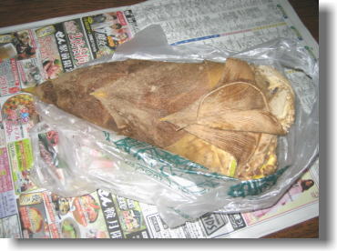 f0204072_86854.jpg