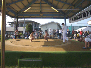 わんぱく相撲三島場所_b0155675_17584486.gif