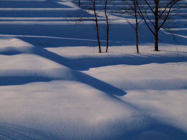 千枚下りの棚田_a0025576_19504543.jpg