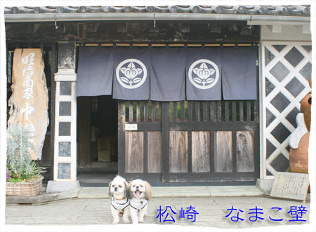 2009年4月17日 伊豆旅行2日目_b0024183_22504914.jpg