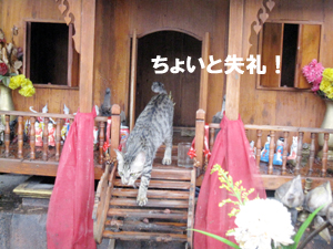 ちょいと失礼・・・。_f0144385_15461696.jpg