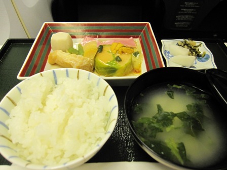 JAL048便　成田～ニューヨークJFK搭乗記_f0146587_12293580.jpg