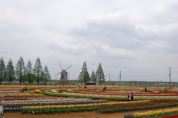 d0153294_14394935.jpg
