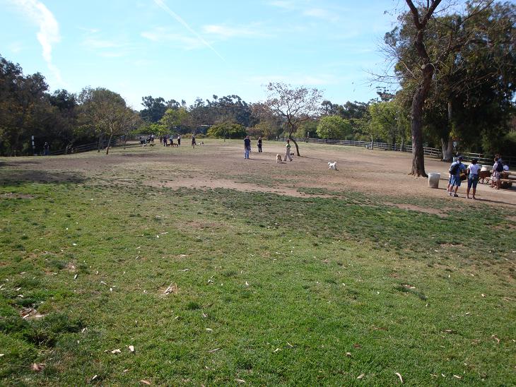 f0075595_138837.jpg