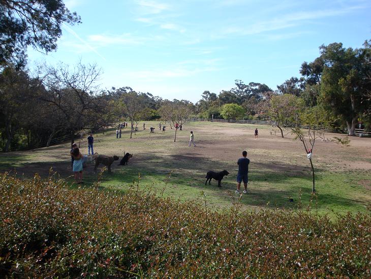 f0075595_139636.jpg