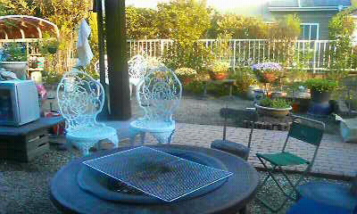 f0035996_2393166.jpg