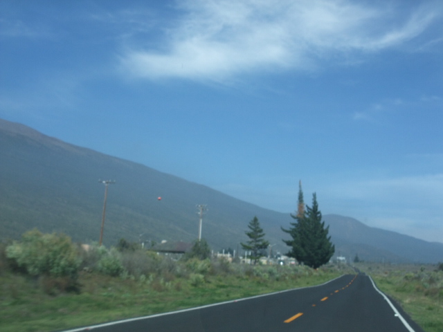 c0183801_1540991.jpg