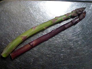 c0163102_20183034.jpg