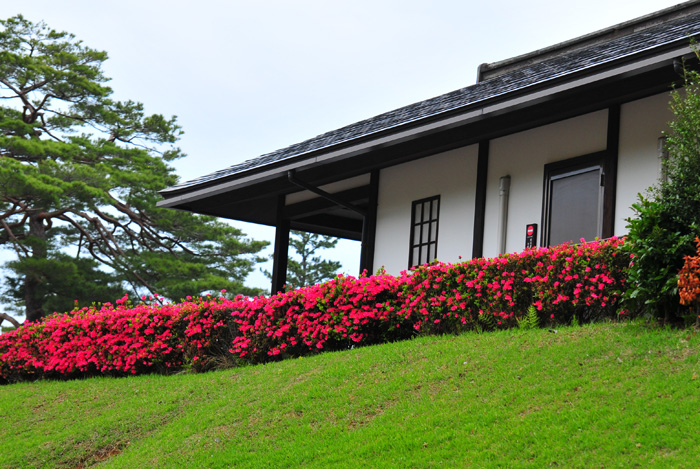 b0158403_22471822.jpg