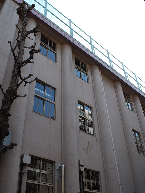東京都中央区立中央小学校(昭和モダン建築探訪)_f0142606_2139570.jpg