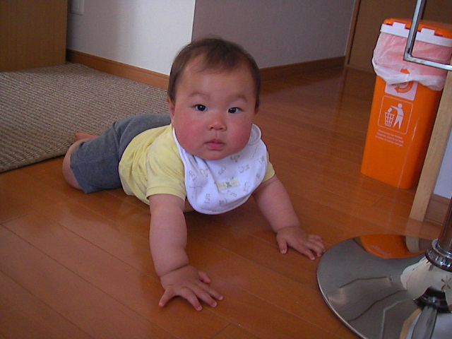 f0038407_1522547.jpg