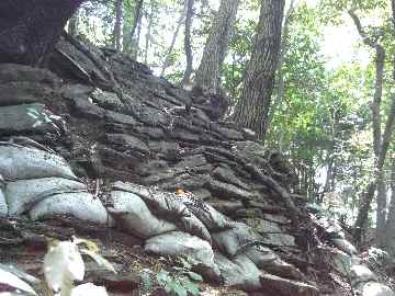 c0051112_12405249.jpg