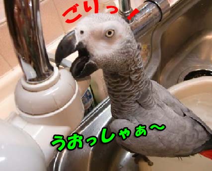 c0133013_15582013.jpg