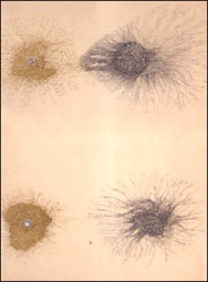 f0133814_5143669.jpg