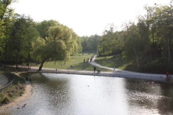 f0200015_374896.jpg