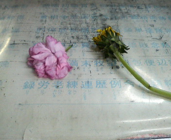 e0124021_1805581.jpg