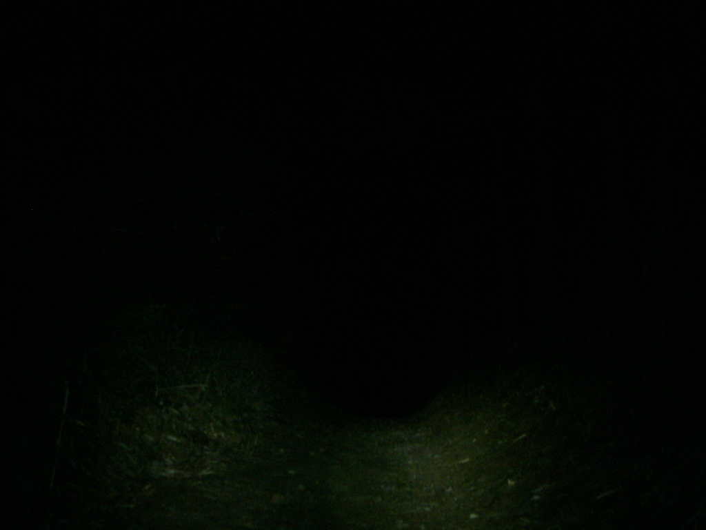 c0189724_2344841.jpg