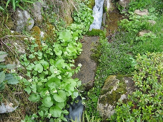 f0203324_21212728.jpg
