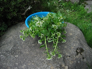 f0203324_21263230.jpg