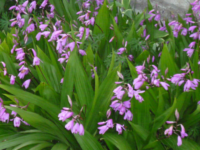 c0117525_2258639.jpg
