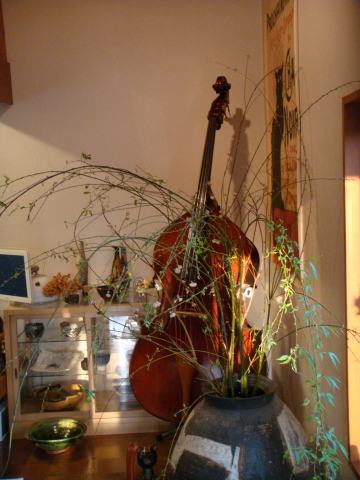 f0095431_0405859.jpg