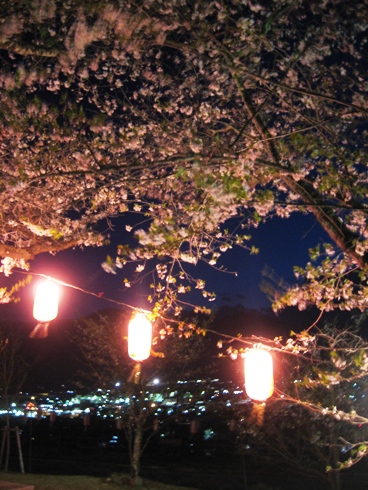 幻想的な夜桜「北山田町」_b0140235_23141465.jpg