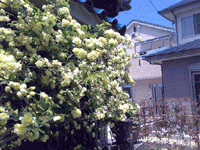 0422（水）_c0009036_12395679.gif