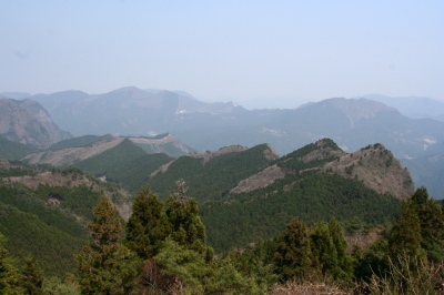 d0055236_112542.jpg